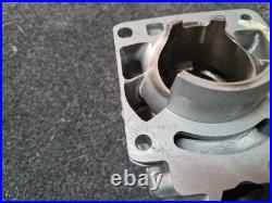 NEW aprilia Rs250 SUZUKI RGV250 NOS cylinder Barrel