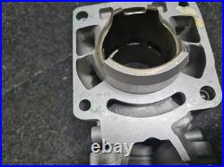 NEW aprilia Rs250 SUZUKI RGV250 NOS cylinder Barrel