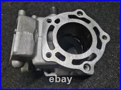NEW aprilia Rs250 SUZUKI RGV250 NOS cylinder Barrel