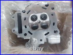 Nos Suzuki AN400 Burgman 400 2003-2006 HEAD, CYLINDER 11100-15F50