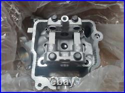 Nos Suzuki AN400 Burgman 400 2003-2006 HEAD, CYLINDER 11100-15F50