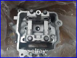 Nos Suzuki AN400 Burgman 400 2003-2006 HEAD, CYLINDER 11100-15F50