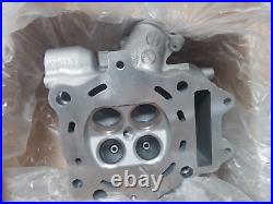 Nos Suzuki AN400 Burgman 400 2003-2006 HEAD, CYLINDER 11100-15F50