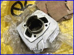 Suzuki 71-75 TC125 TC125R/J/K/L/M TS125 TS125R/J/K/L/M Cylinder NOS 11210-28000
