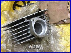 Suzuki 71-75 TC125 TC125R/J/K/L/M TS125 TS125R/J/K/L/M Cylinder NOS 11210-28000