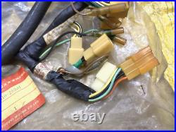 Suzuki 73-77 TS125 TS125K/L/M/A/B Wiring Harness A NO. 1 NOS Genuine 36610-25301