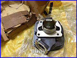 Suzuki 76-77 TC100 TC100A/B TS100 TS100A/B Cylinder NOS Genuine P/N 11210-25610 Suzuki 76-77 TC100 TC100A/B TS100 TS100A/B Cylinder NOS Genuine P/N 11210-25610