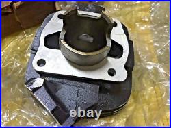 Suzuki 76-77 TC100 TC100A/B TS100 TS100A/B Cylinder NOS Genuine P/N 11210-25610