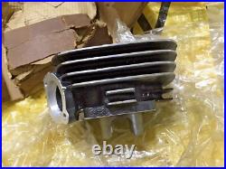 Suzuki 76-77 TC100 TC100A/B TS100 TS100A/B Cylinder NOS Genuine P/N 11210-25610