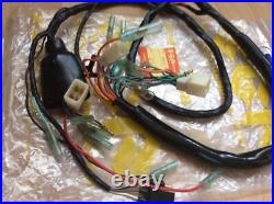 Suzuki Gt250 K. L. M 73-75 Nos Full Wiring Harness / Loom New Pt No 36610-18100 Suzuki Gt250 K. L. M 73-75 Nos Full Wiring Harness / Loom New Pt No 36610-18100