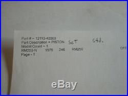 Suzuki NOS RM250-N 1979 PISTON SET STD P/N 12110-40300 #4