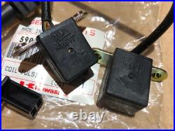 VZ1600 Marauder Boulevard 2004-05 NOS OEM Pulse Coils Pick Up Coils K5902-61158 VZ1600 Marauder Boulevard 2004-05 NOS OEM Pulse Coils Pick Up Coils K5902-61158